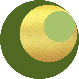 Jin Shin Jyutsu - Grundkurs Audio-Zoom